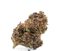 Purple Haze Indoor 7€/G