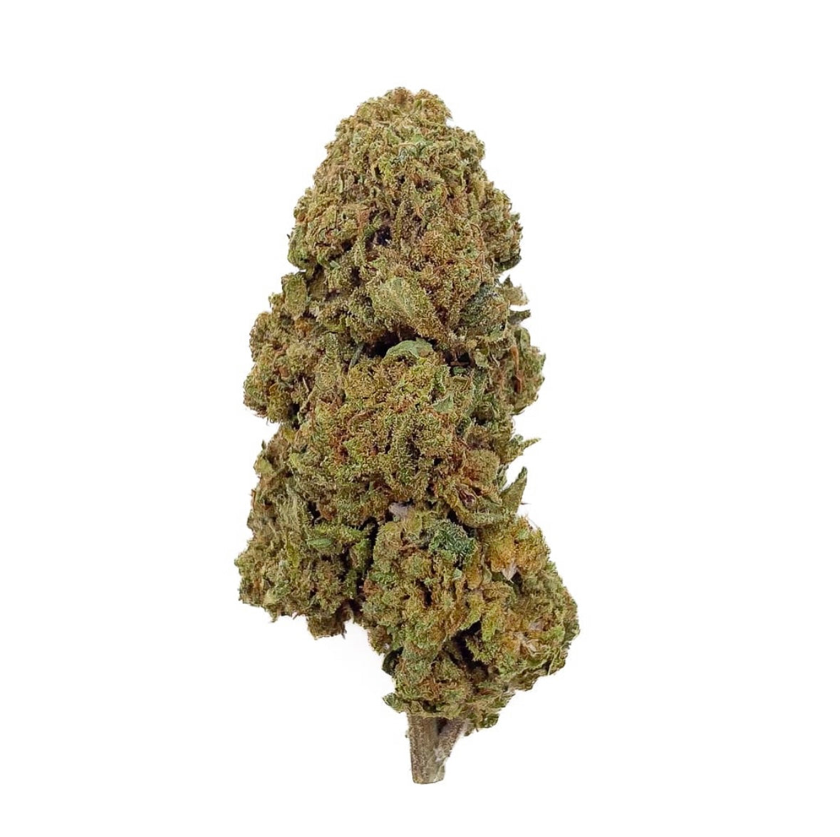 Gelato CBD – Bud Mix – Glass-House 7€/G